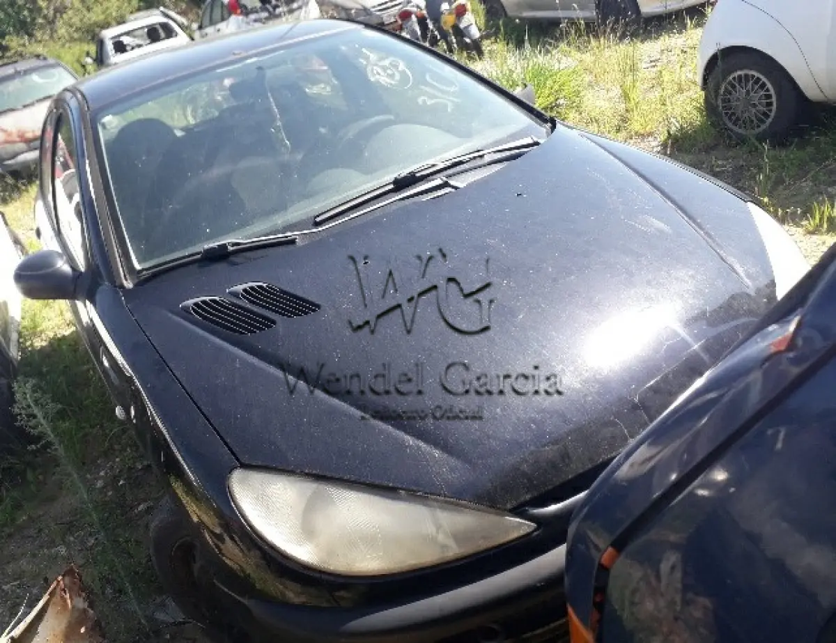 LOTE 039 - PEUGEOT/206 14 SENSAT FX
