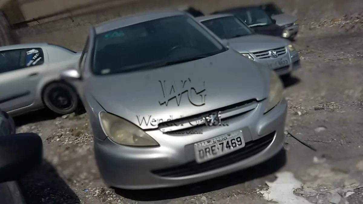 LOTE 506 - I/PEUGEOT 307 20A FELINE