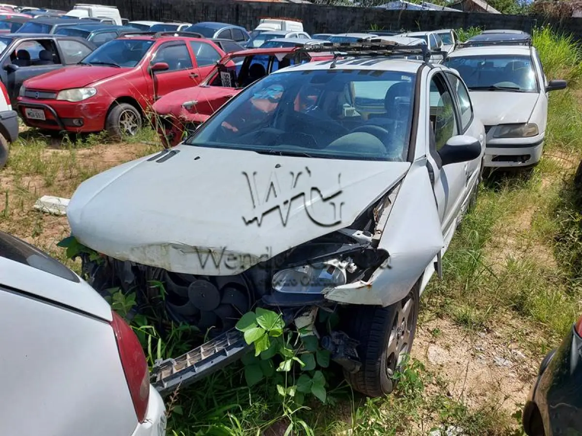 LOTE 417 - PEUGEOT/206 14 FELINE
