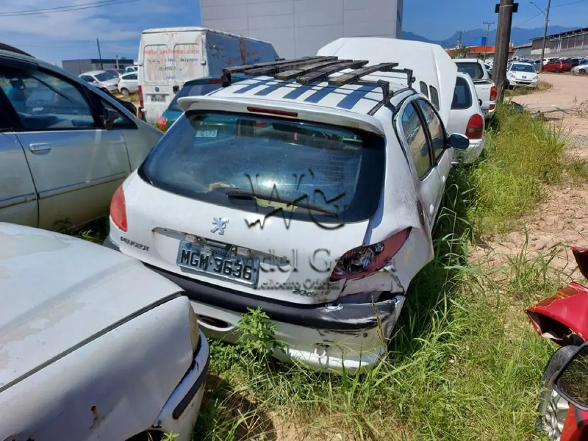 LOTE 417 - PEUGEOT/206 14 FELINE