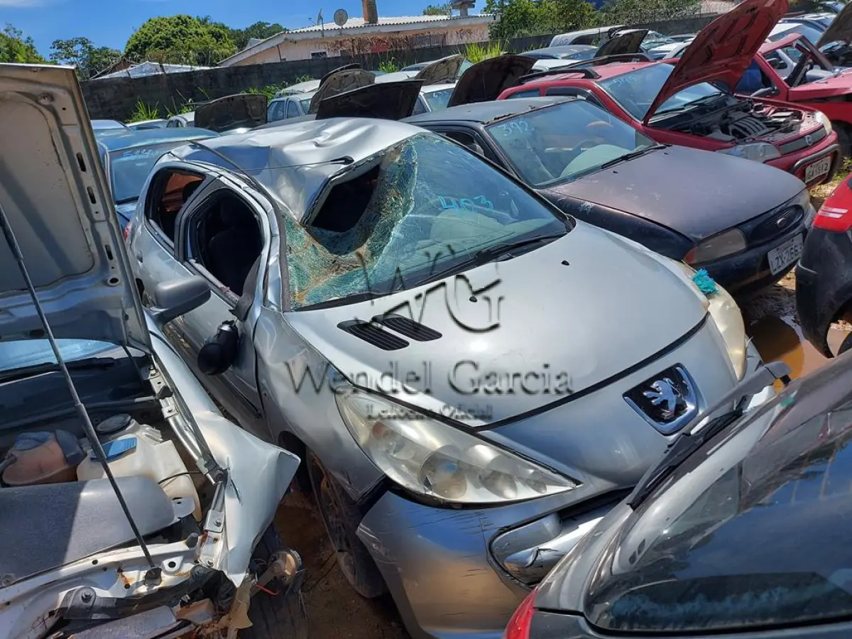 LOTE 403 - PEUGEOT/207 HB BLUE LION
