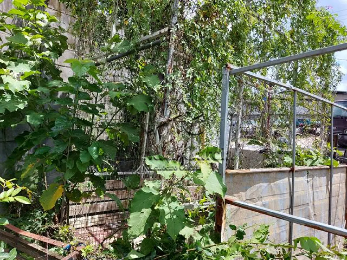 LOTE 423 - REB/FABRICACAO PROPRIA