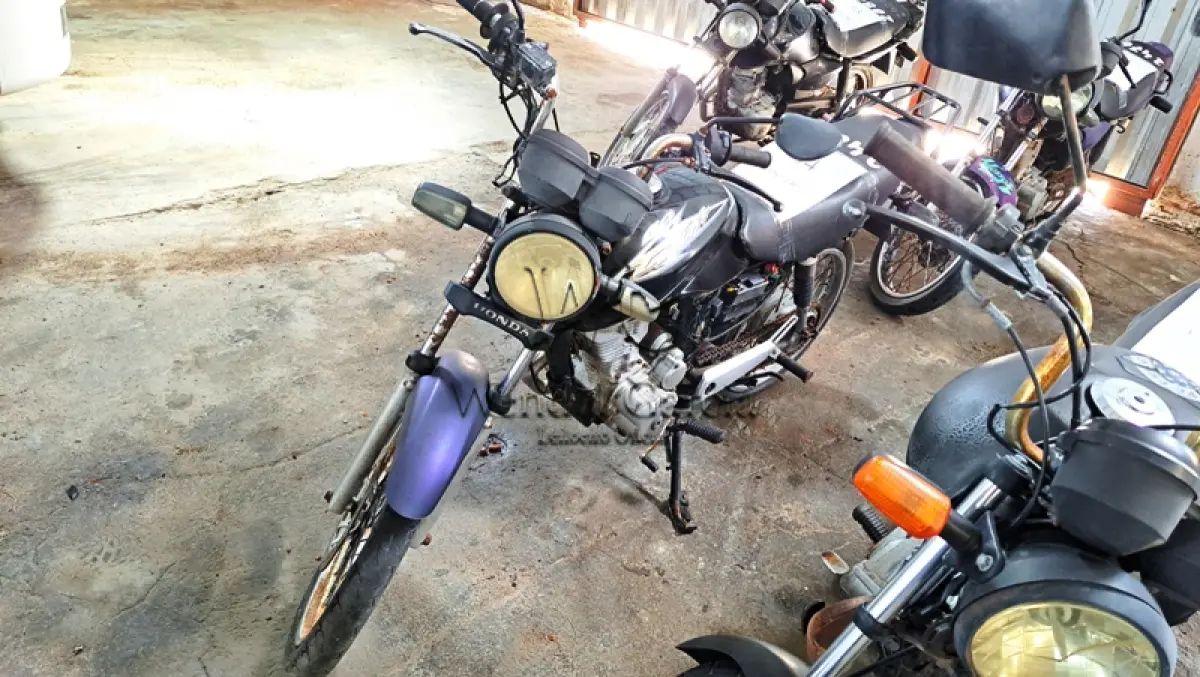 LOTE 0094