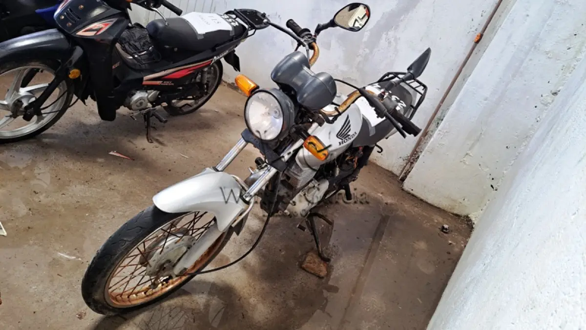 LOTE 0117