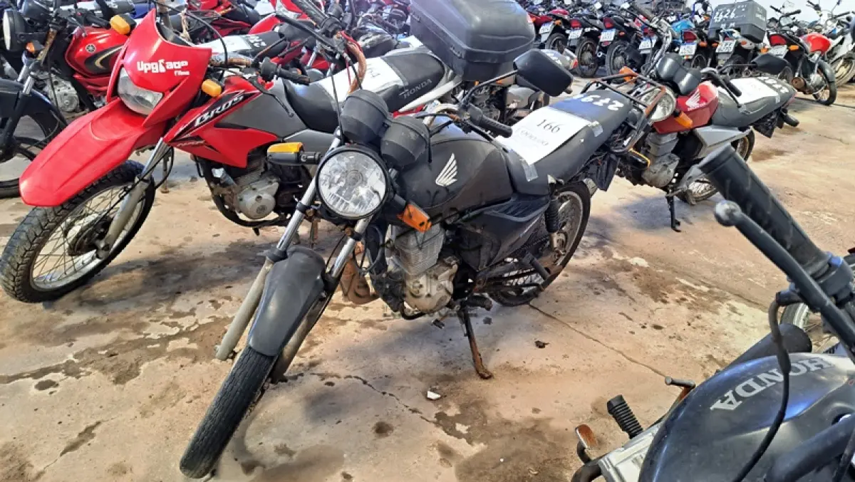 LOTE 0166