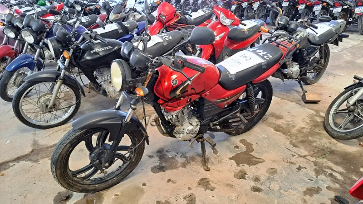 LOTE 0162