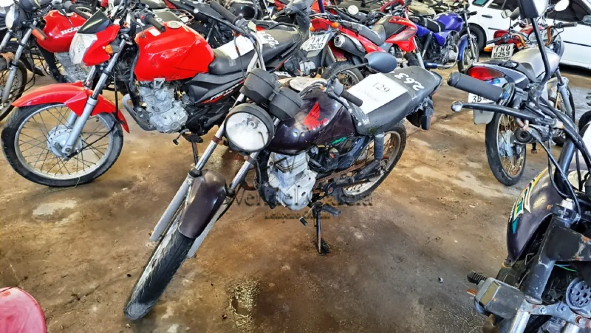 LOTE 0129