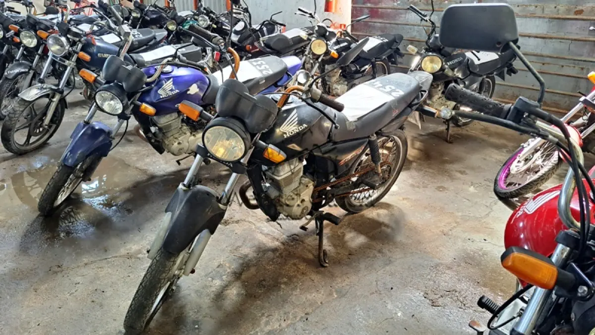 LOTE 0106