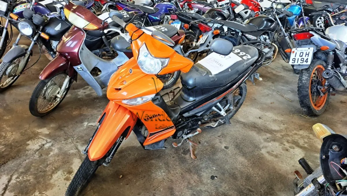 LOTE 0137