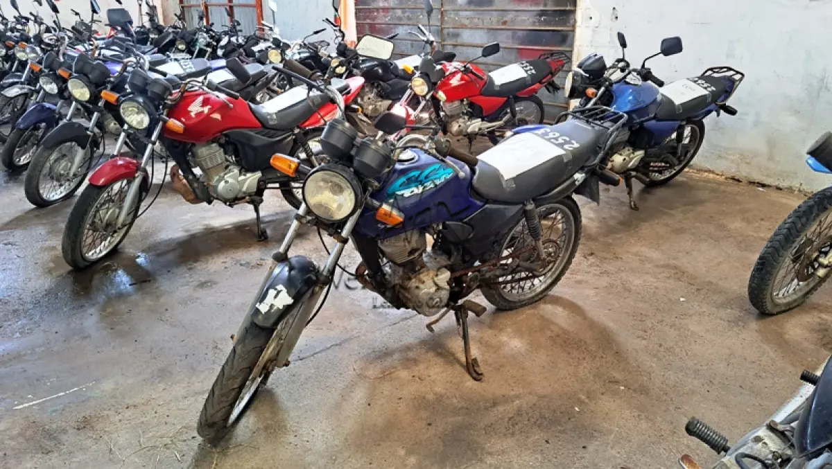 LOTE 0110