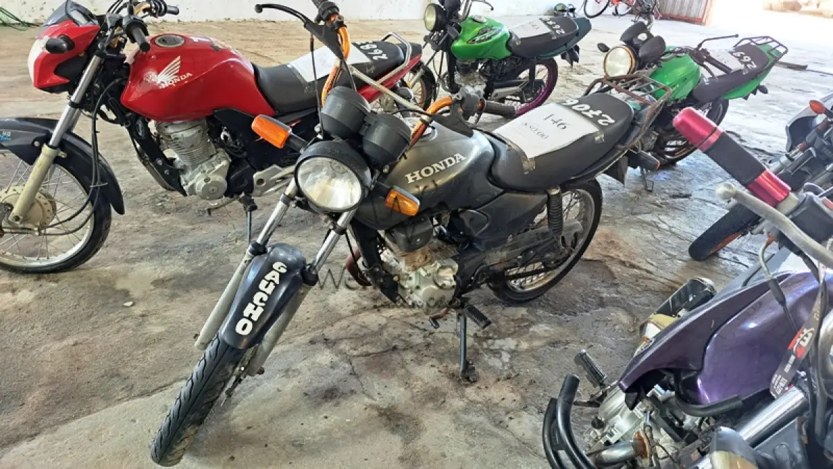 LOTE 0146