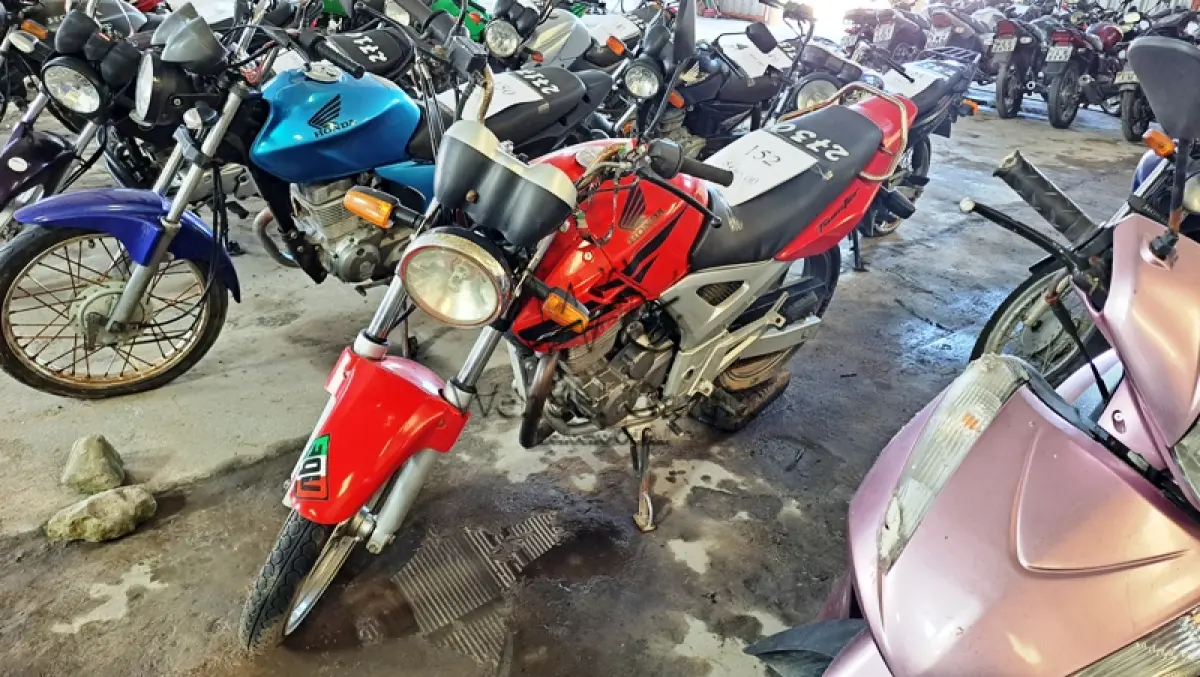 LOTE 0152