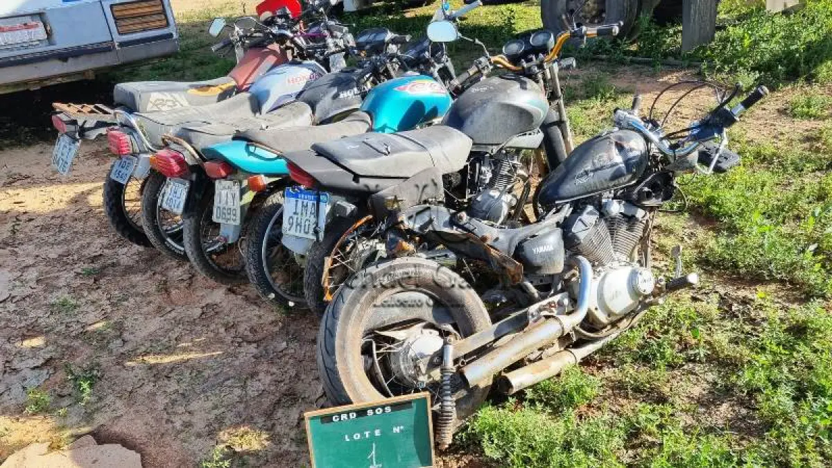 LOTE 0001