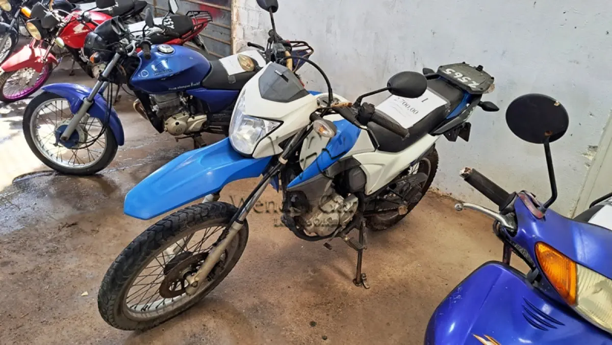 LOTE 0111