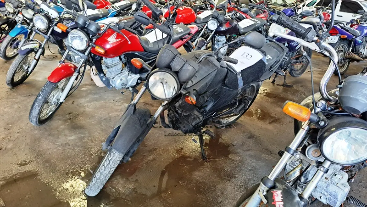 LOTE 0132