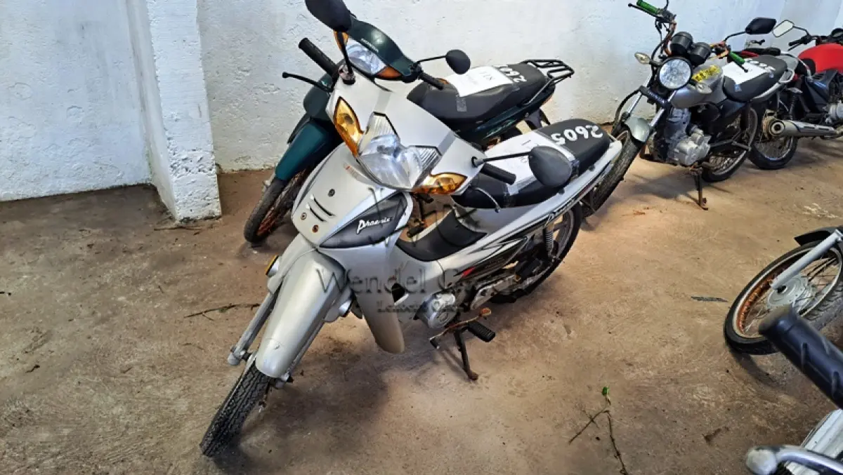 LOTE 0120