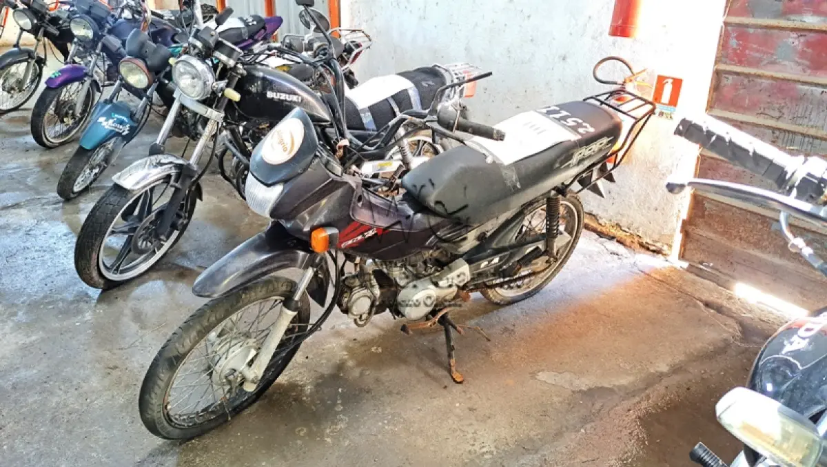 LOTE 0101