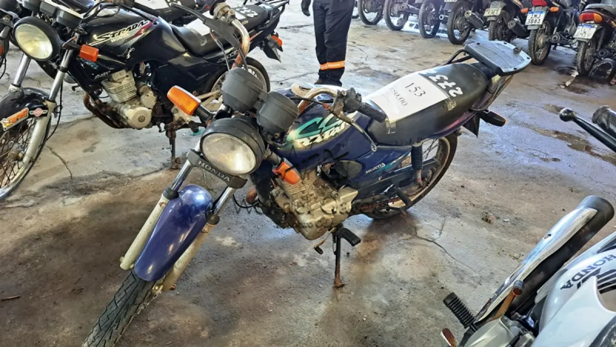 LOTE 0153