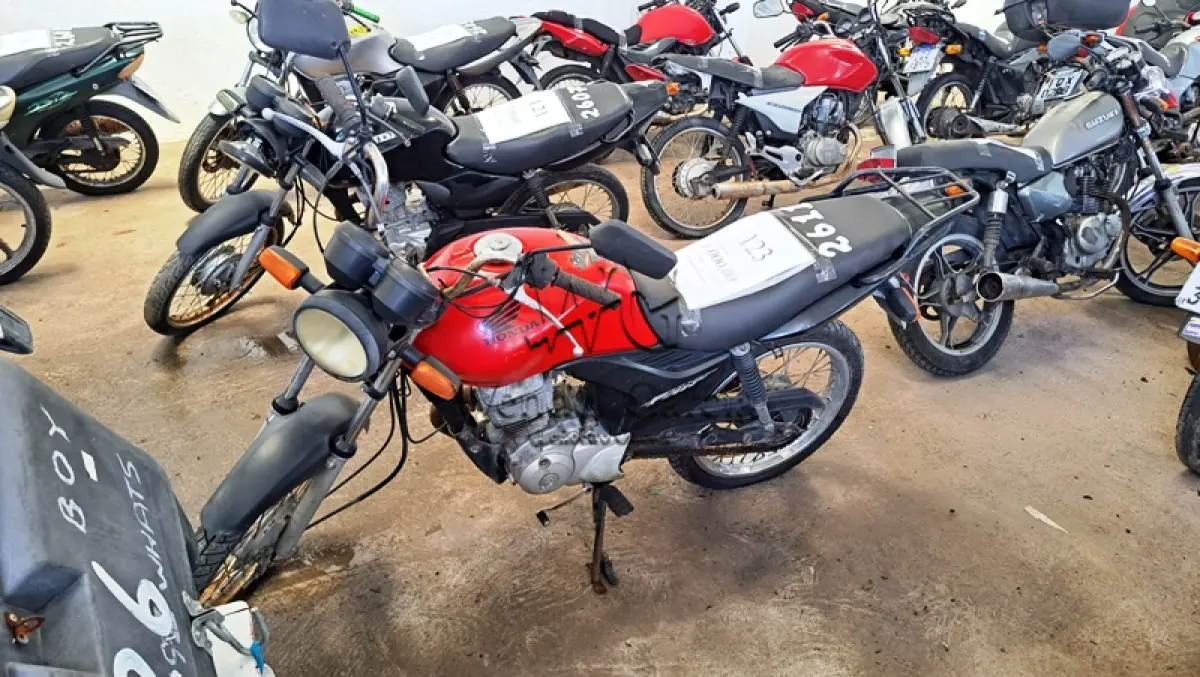 LOTE 0123