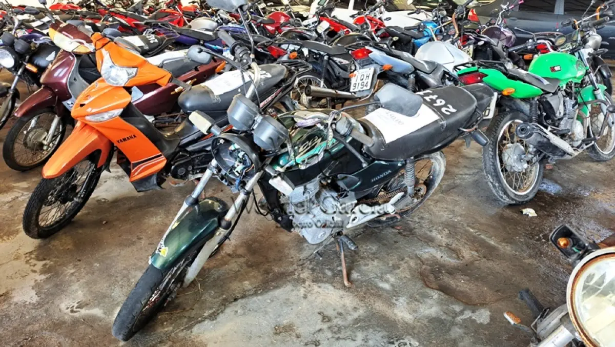 LOTE 0139