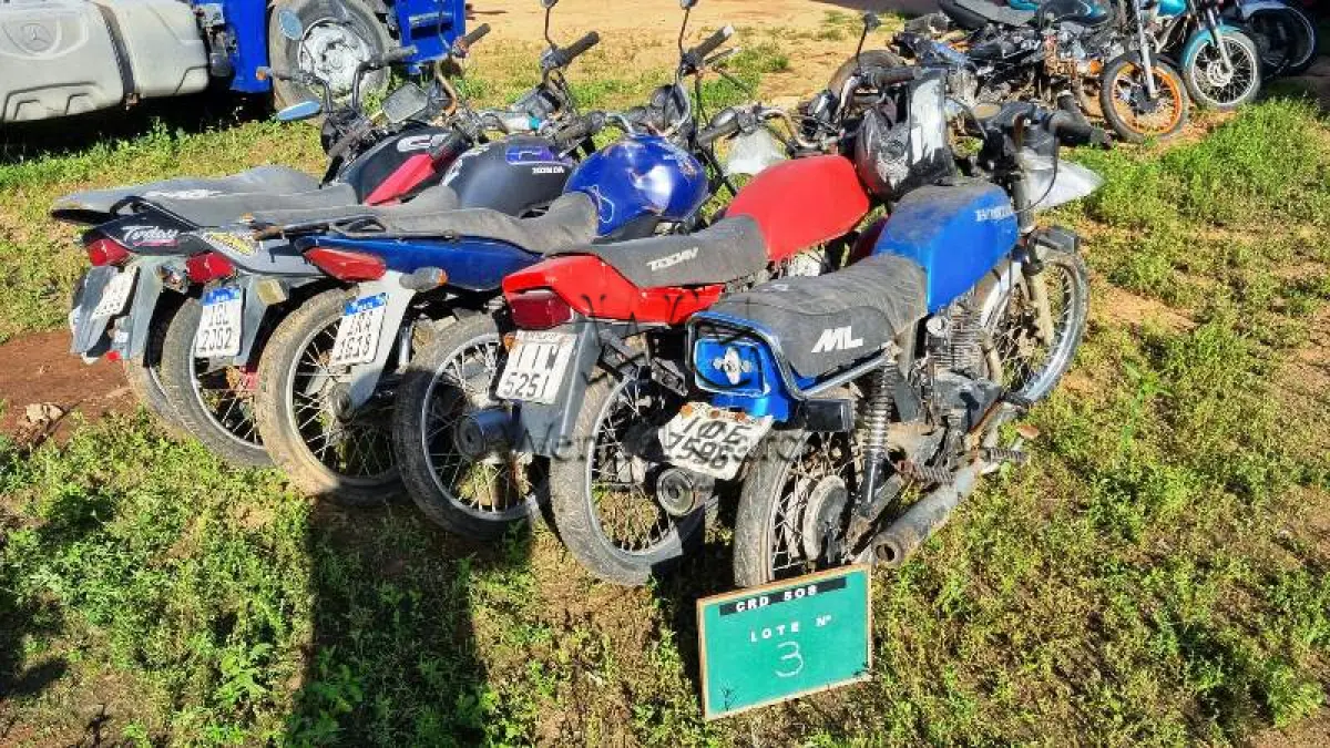 LOTE 0003