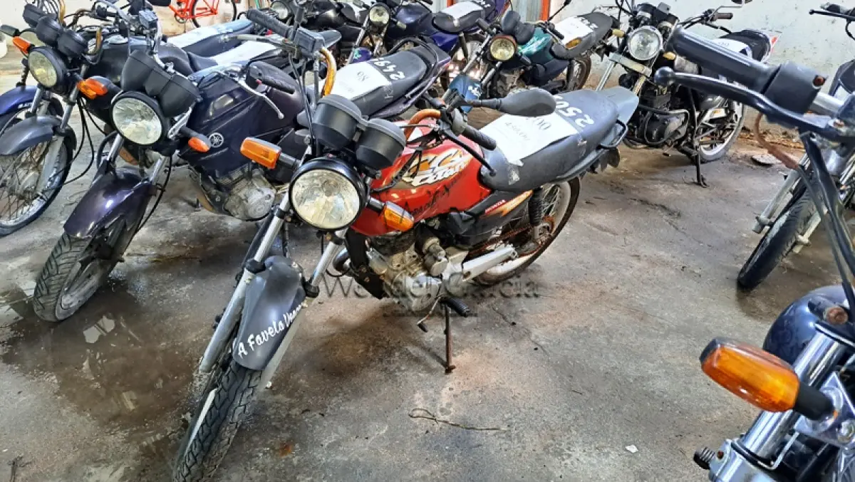 LOTE 0100