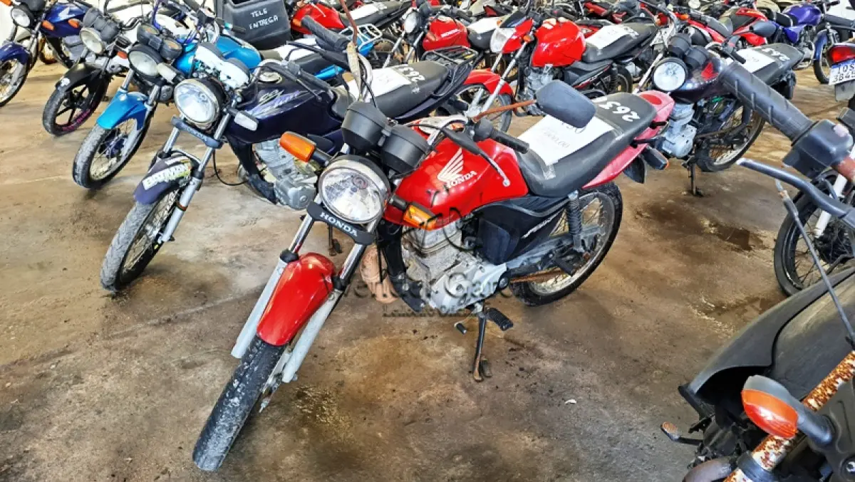 LOTE 0130