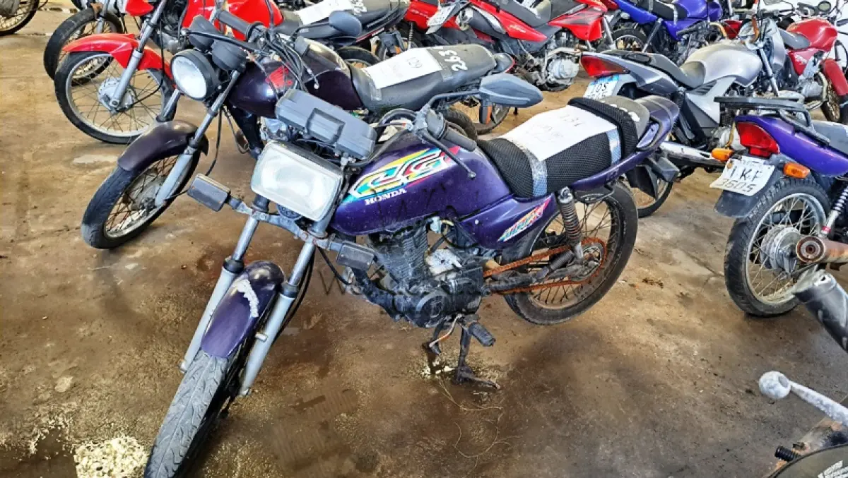 LOTE 0131