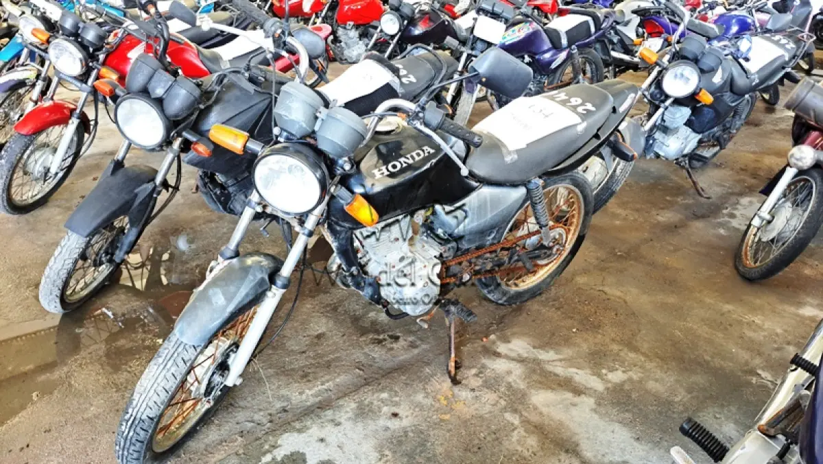 LOTE 0134