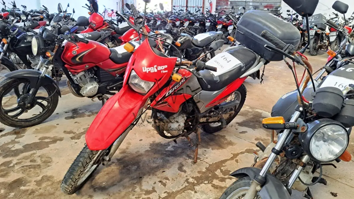 LOTE 0164