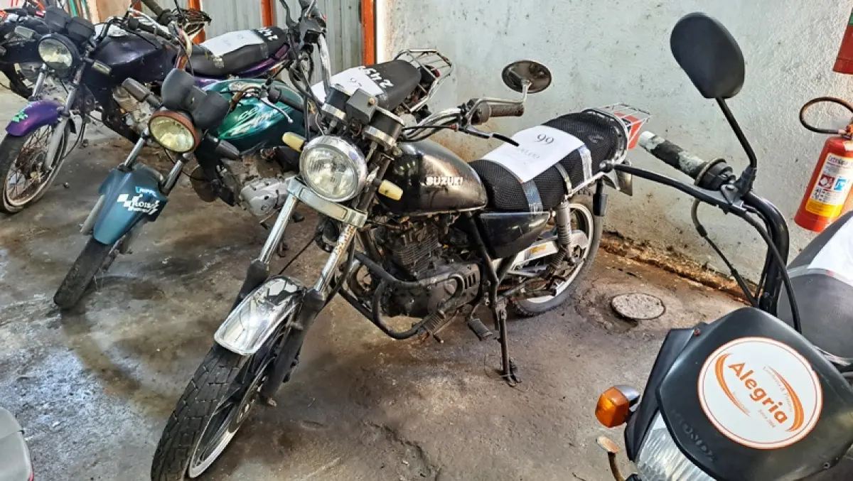 LOTE 0099
