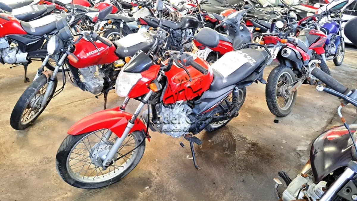 LOTE 0127