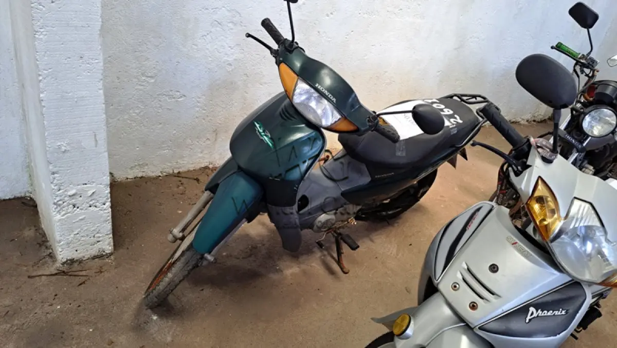 LOTE 0118