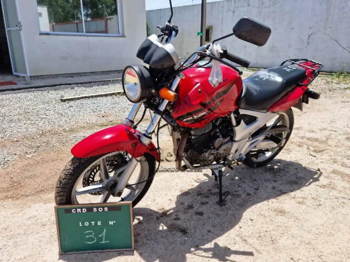 LOTE 0031