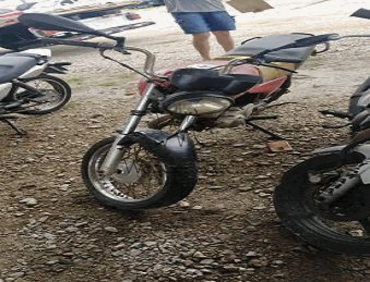 LOTE 3506