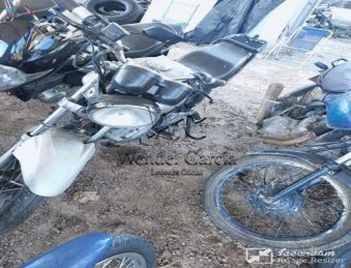 LOTE 3565