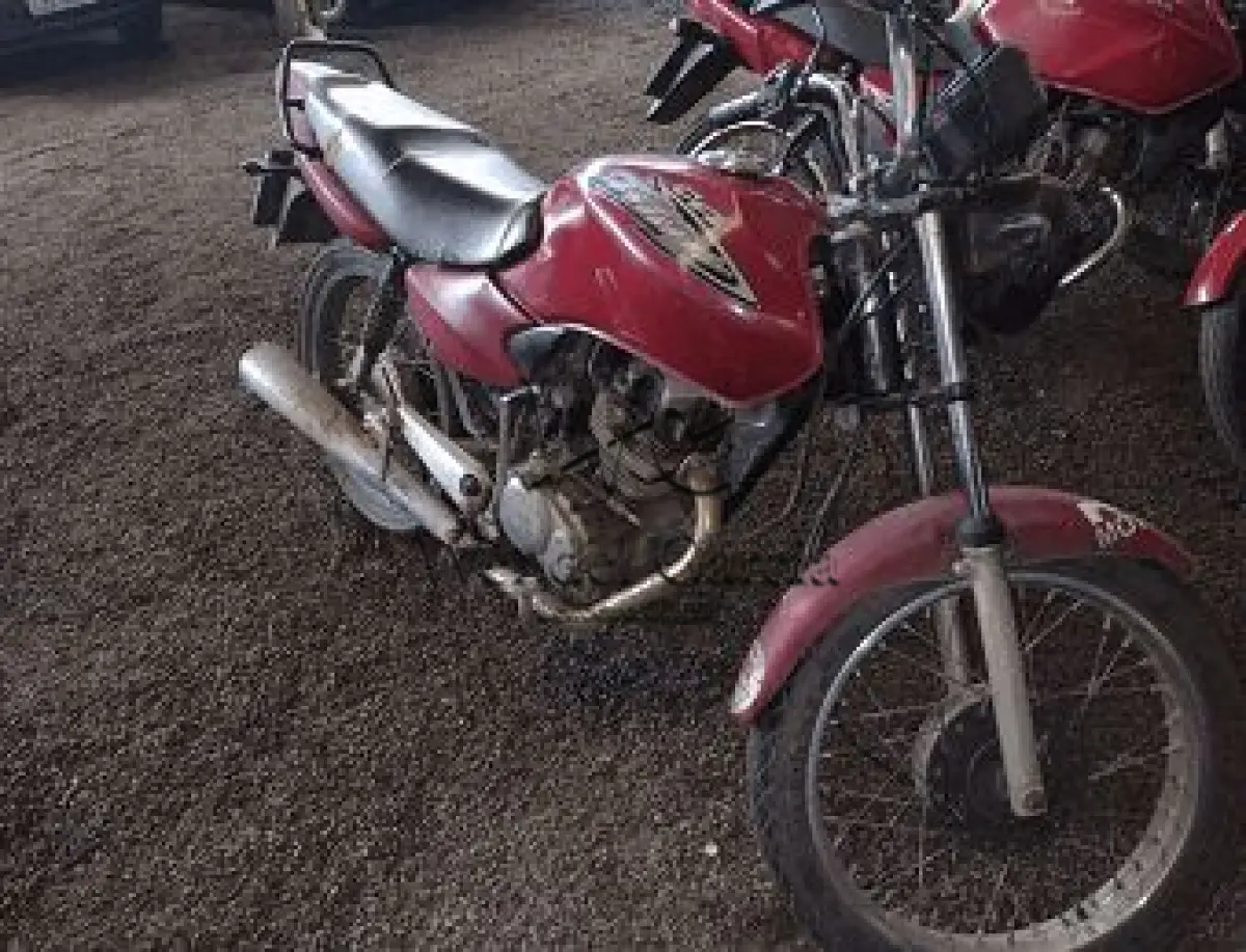 LOTE 3497
