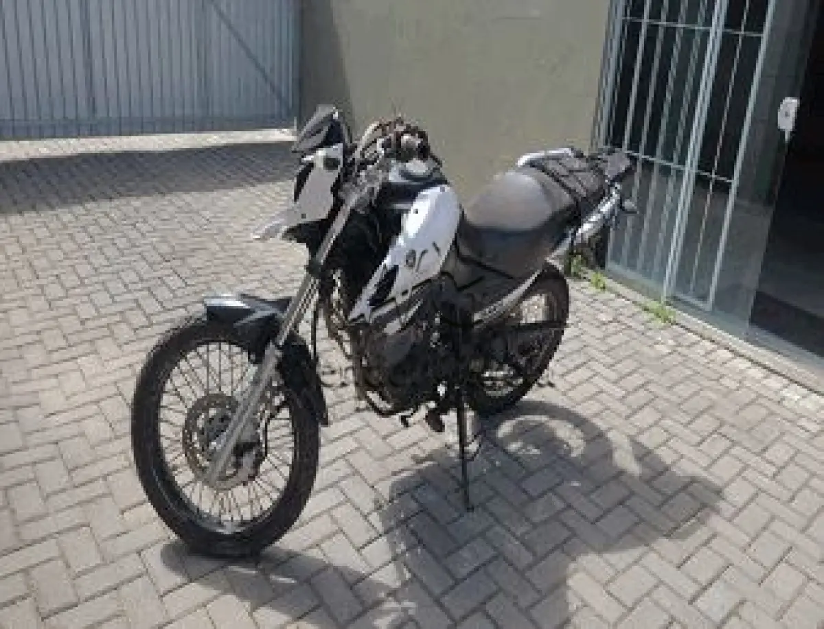 LOTE 3593