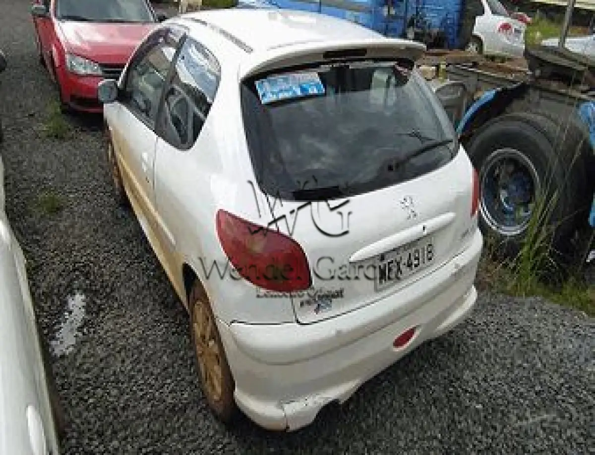 AUTOMOVEL PEUGEOT/206 14 SENSAT FX - LEILÃO DETRAN/ SC CONSERVADOS - 05 ...