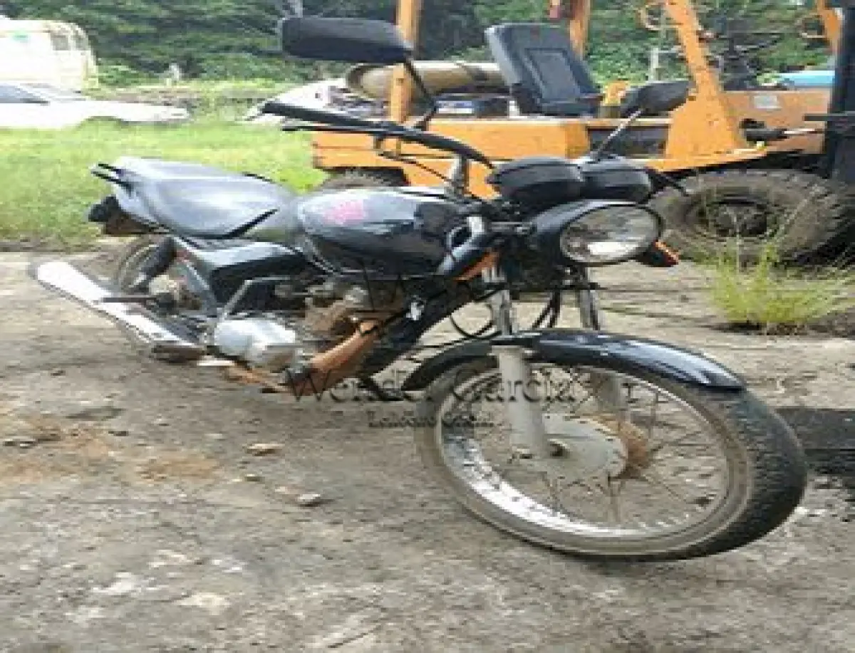 LOTE 3502