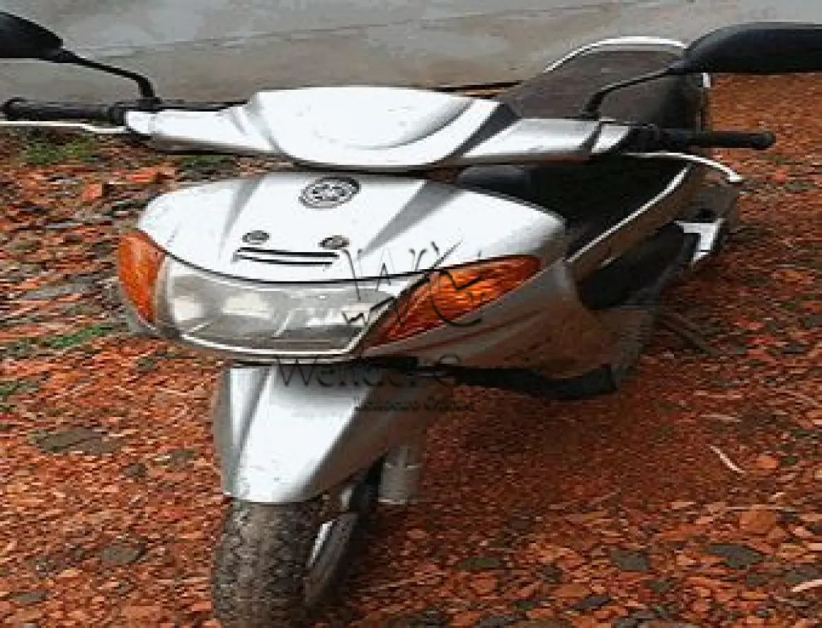 LOTE 3582