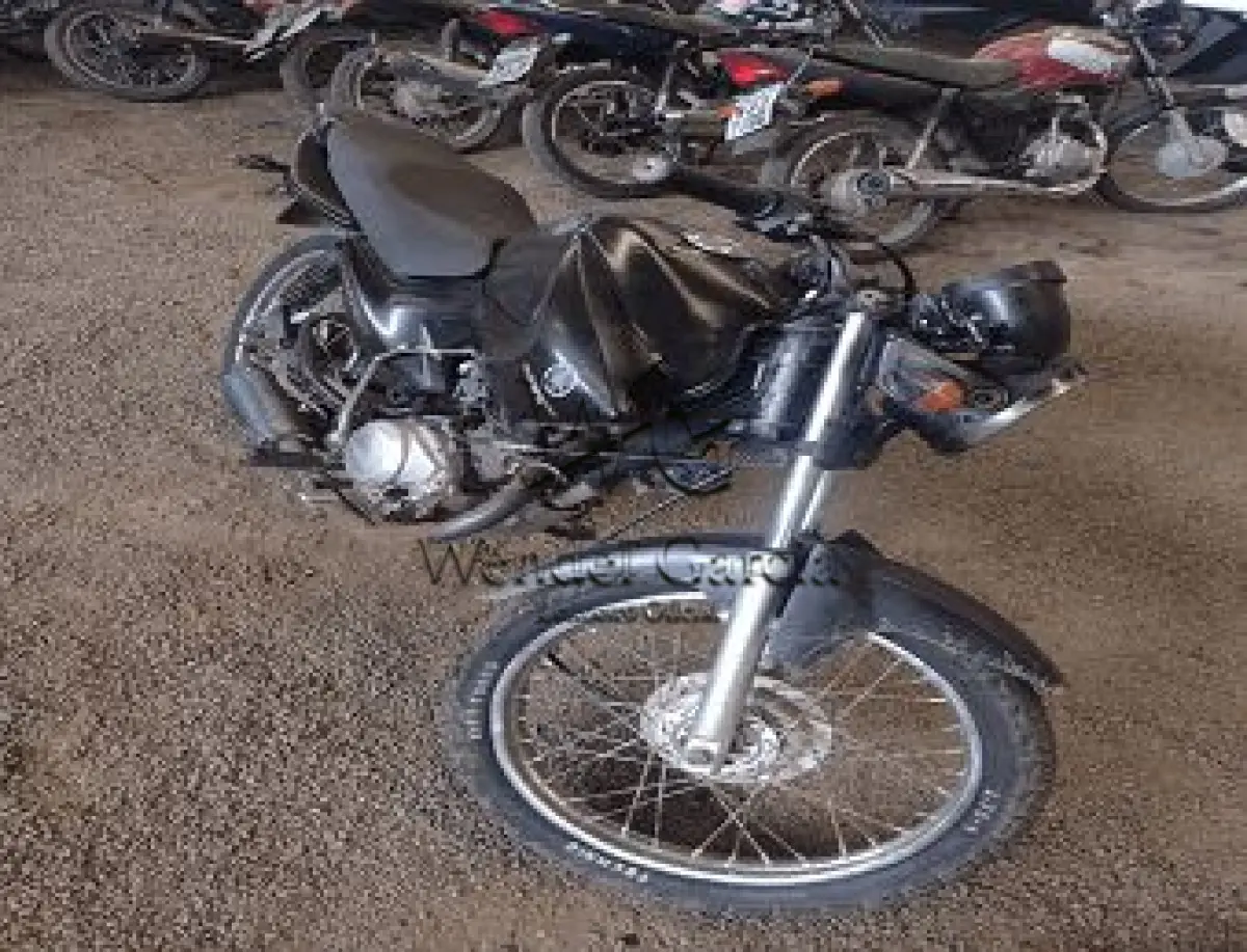 LOTE 3482