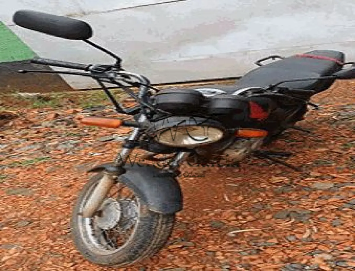 LOTE 3583