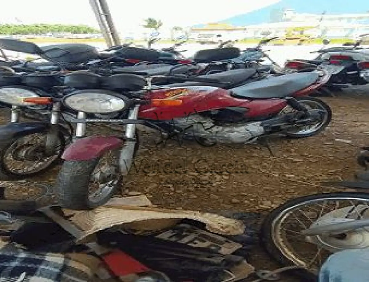 LOTE 3519