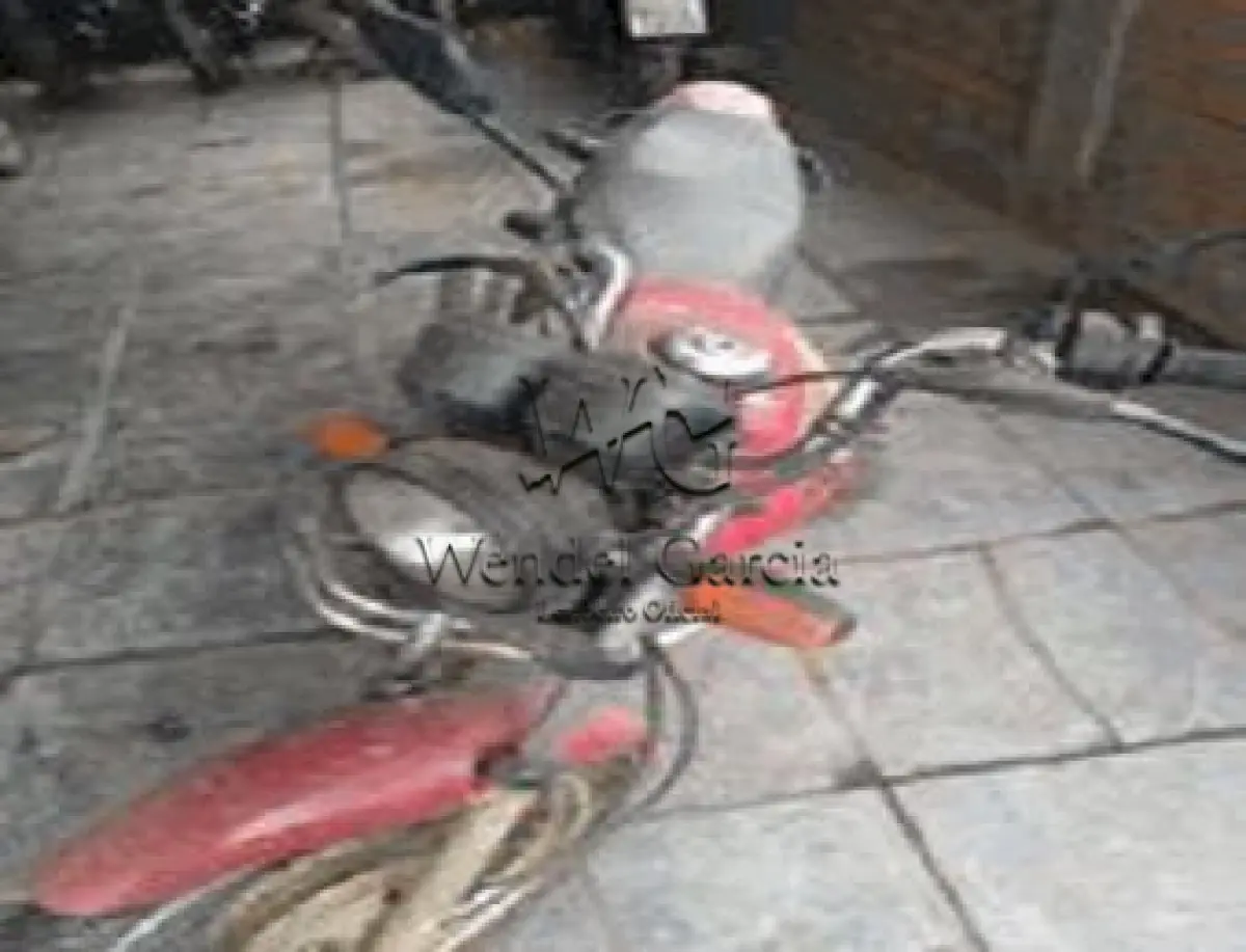 LOTE 3536
