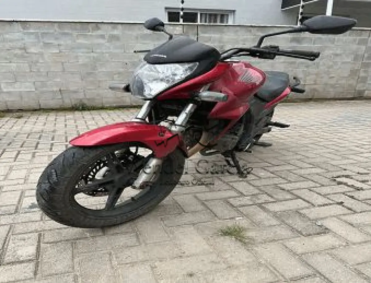 LOTE 3597