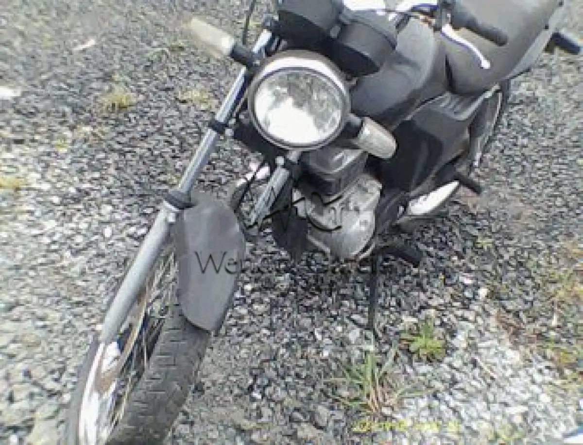 LOTE 3540