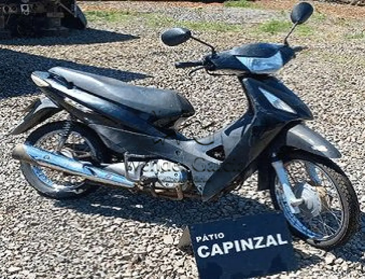 LOTE 3504