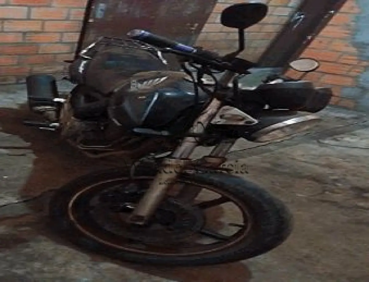 LOTE 3587