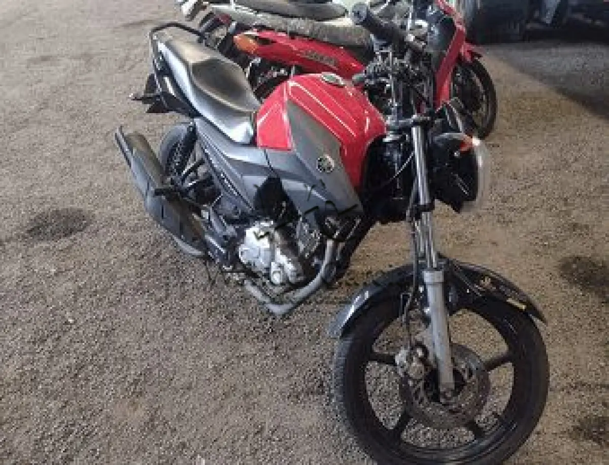 LOTE 3486